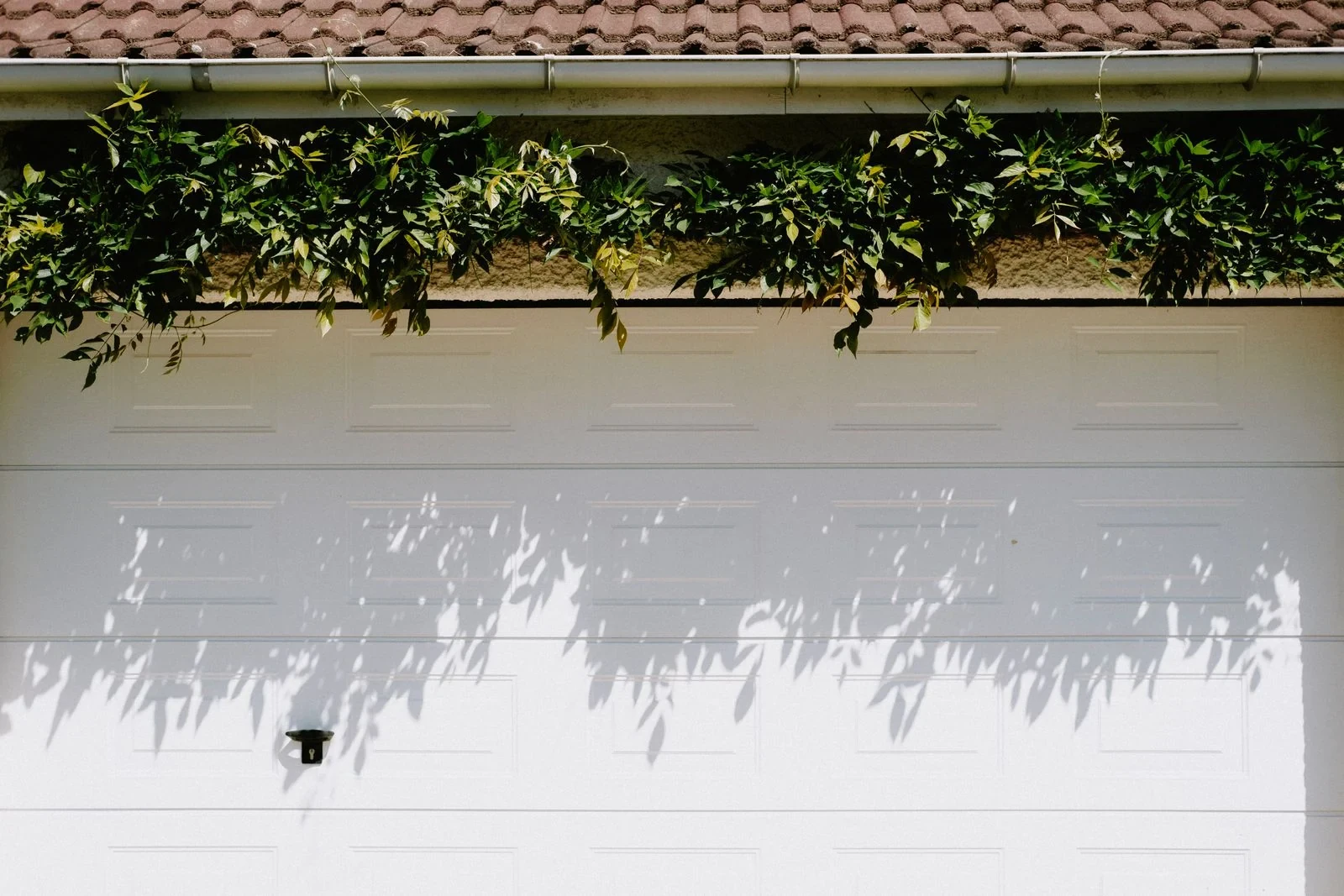 secondary — illustrative garage doors photography